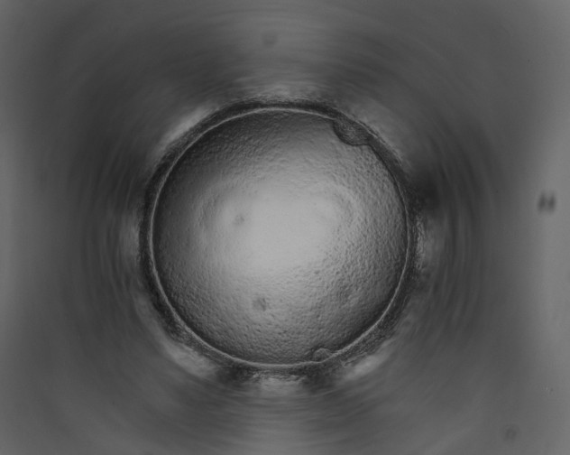 X0000089940491200707131457