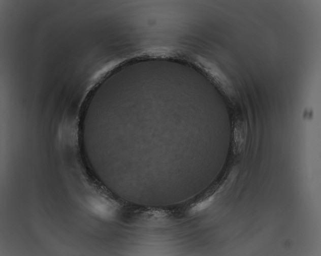 X0000089940492200707131457