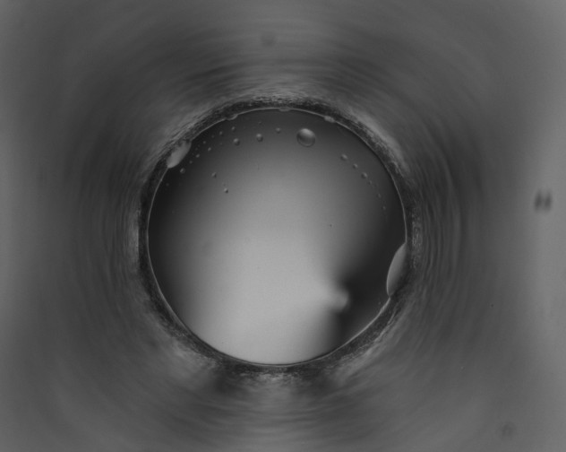 X0000089940493200707131457