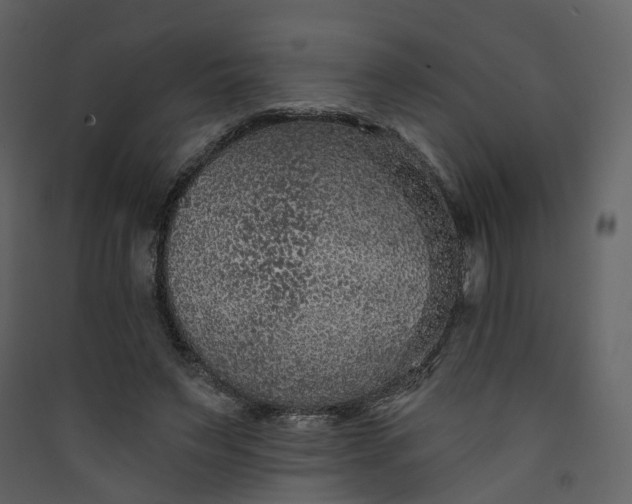 X0000089940495200707131457