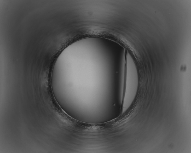 X0000089940497200707131457