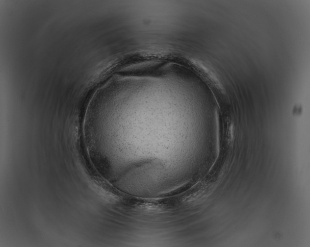 X0000089940498200707131457