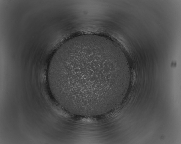 X0000089940499200707131457