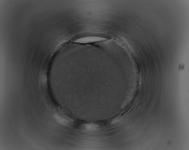 X0000089940500200707131457