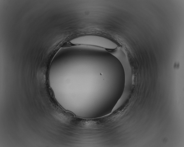 X0000089940501200707131456