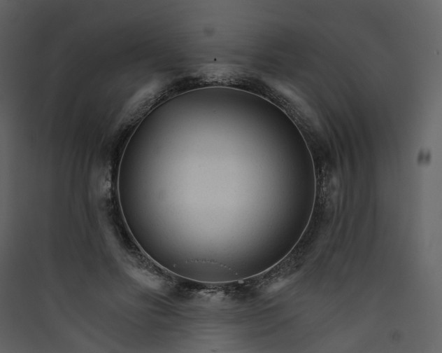 X0000089940502200707131456