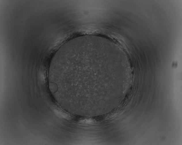 X0000089940503200707131456