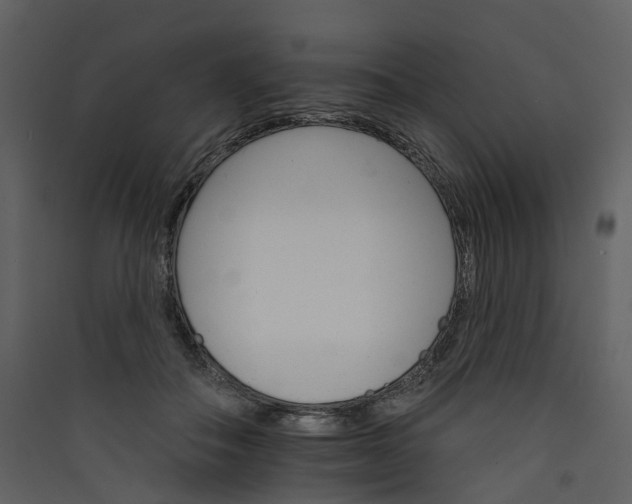 X0000089940506200707131456