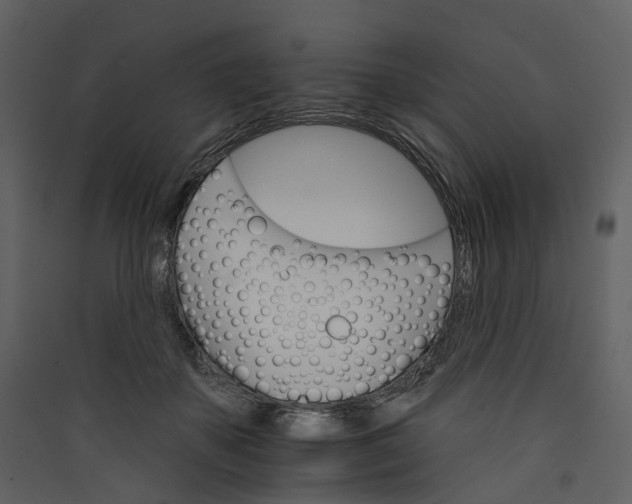 X0000089940507200707131456