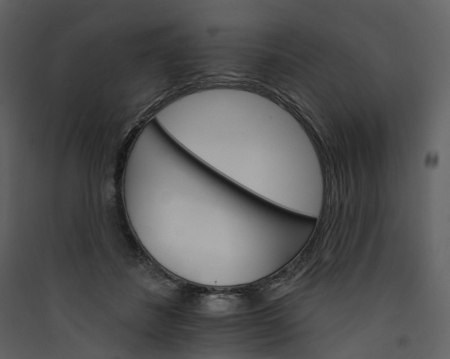 X0000089940508200707131456