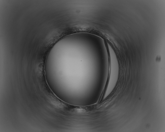 X0000089940509200707131456