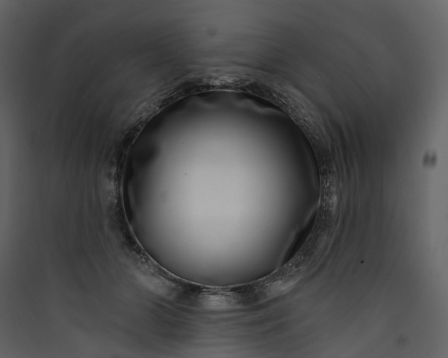 X0000089940510200707131456