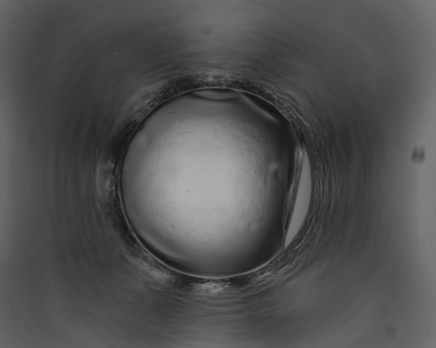 X0000089940511200707131456