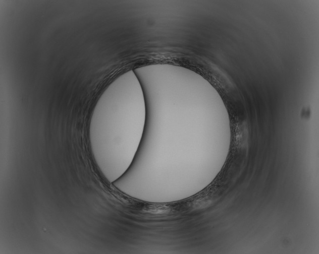 X0000089940514200707131456