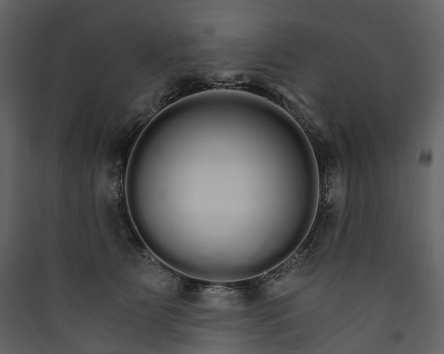 X0000089940515200707131456