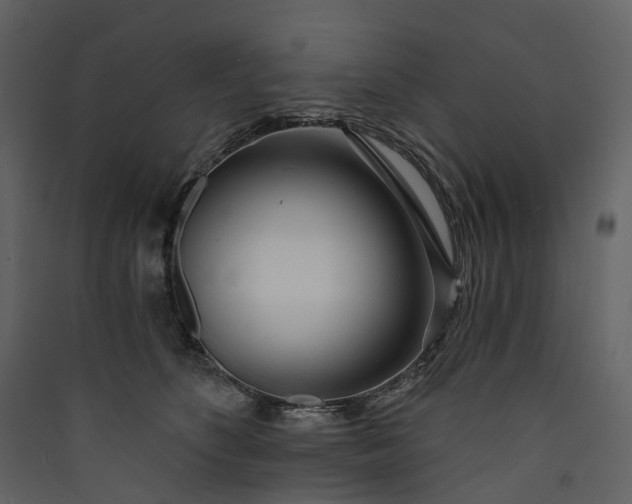 X0000089940516200707131456