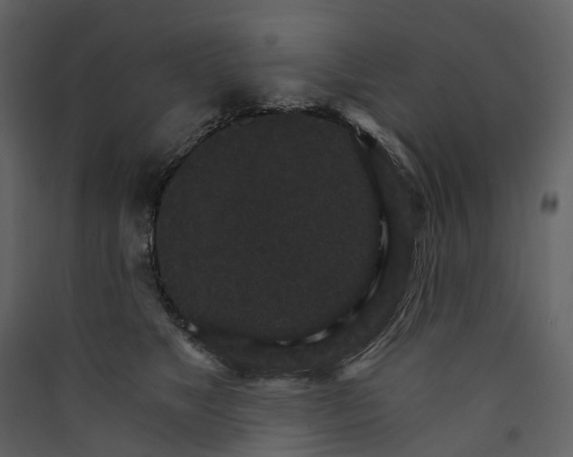 X0000089940517200707131456