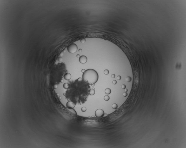 X0000089940519200707131456