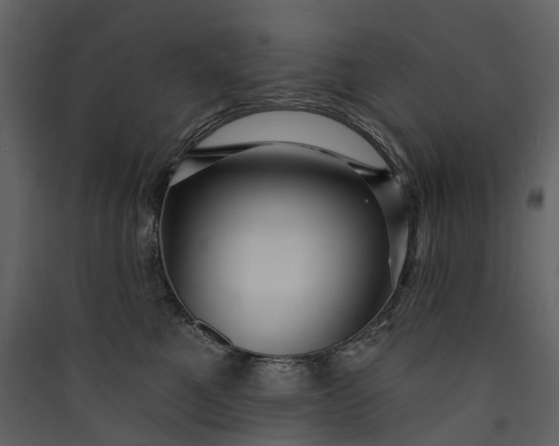 X0000089940521200707131456