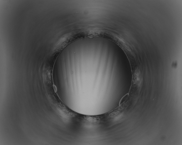 X0000089940522200707131456