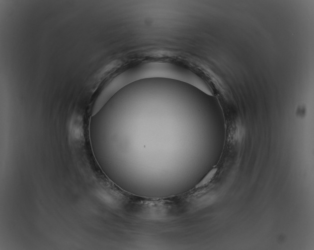 X0000089940524200707131456