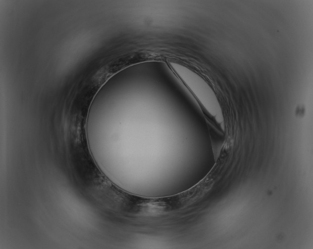 X0000089940525200707131456