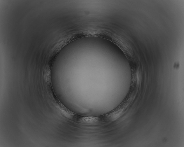 X0000089940526200707131456