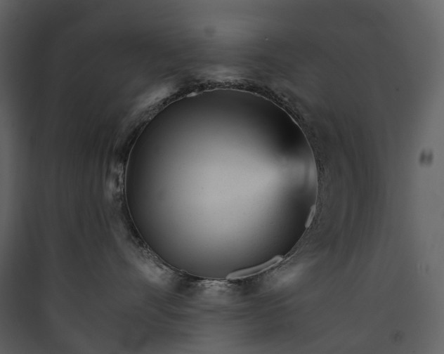 X0000089940528200707131456