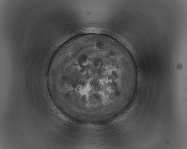 X0000089940529200707131455