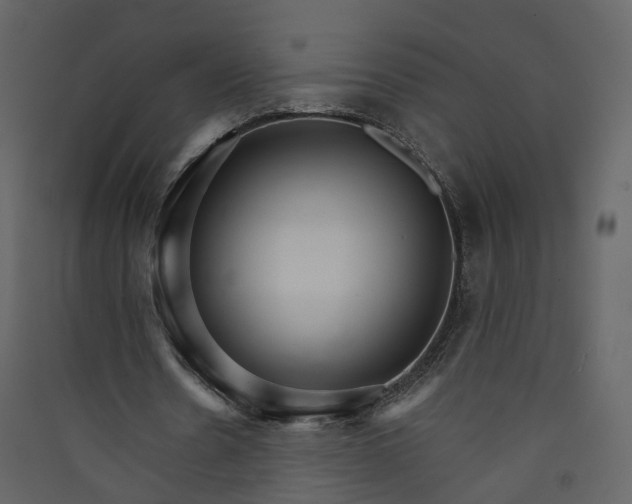 X0000089940530200707131455