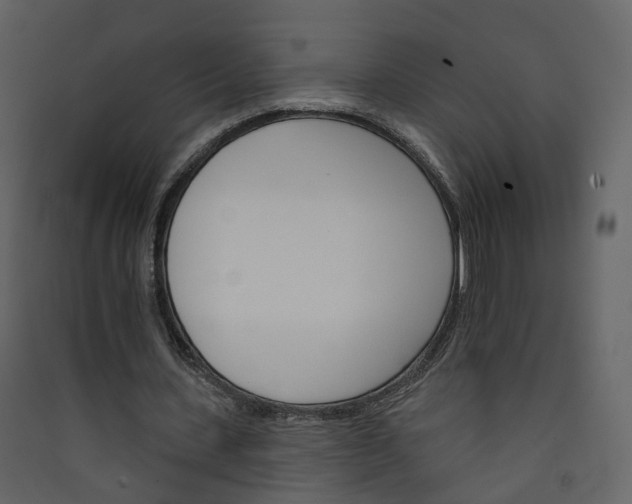 X0000089940531200707131455