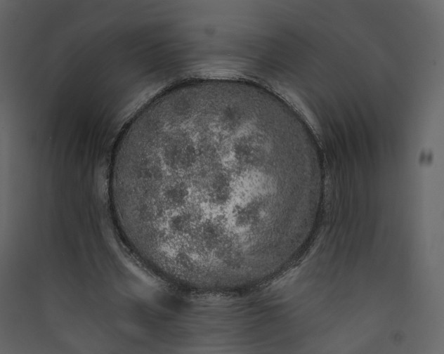 X0000089940533200707131455