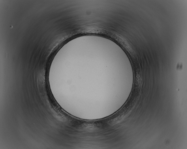 X0000089940534200707131455