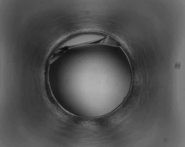 X0000089940535200707131455