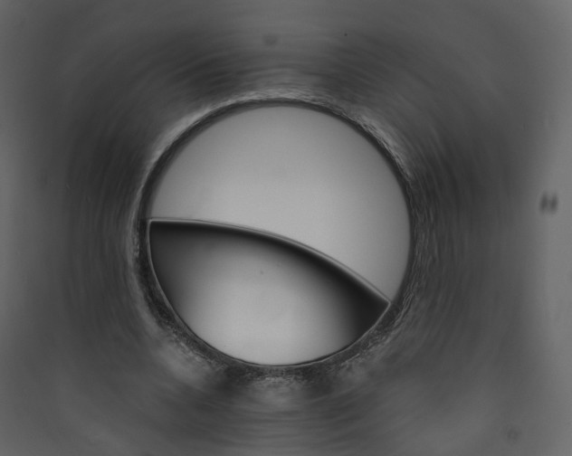 X0000089940536200707131455