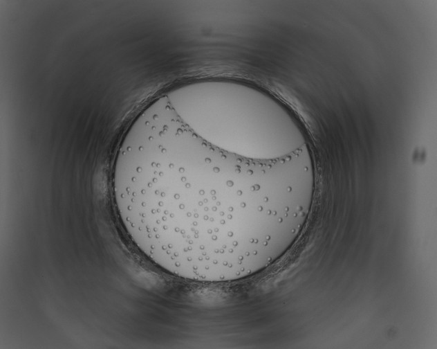 X0000089940537200707131455