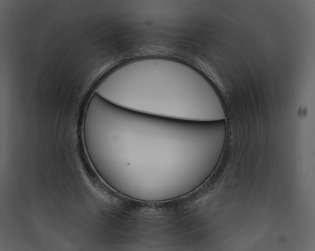 X0000089940538200707131455