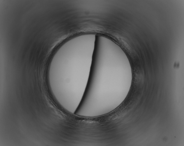 X0000089940539200707131455