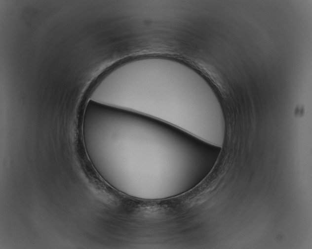 X0000089940540200707131455