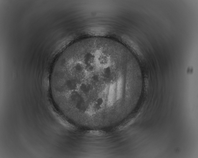 X0000089940541200707131455