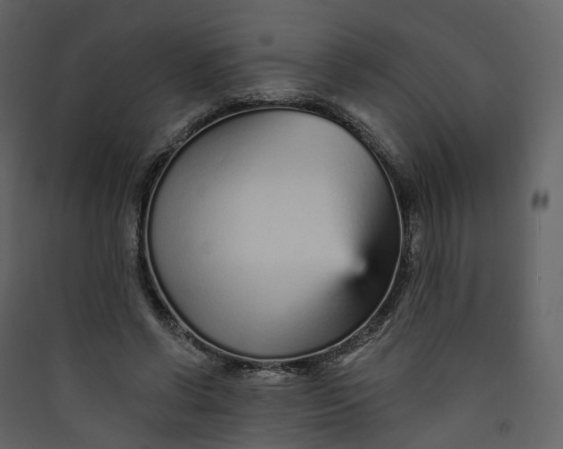 X0000089940542200707131455