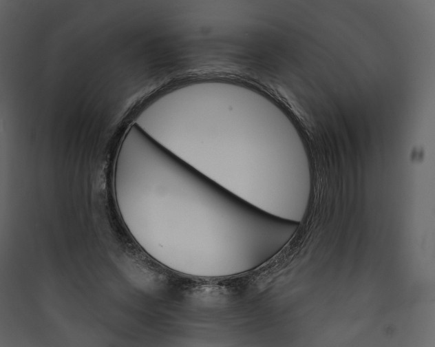 X0000089940543200707131455