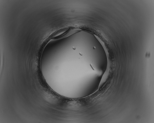 X0000089940544200707131455