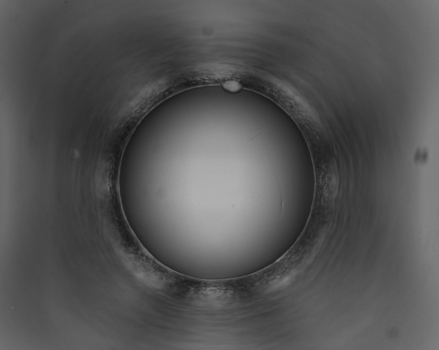 X0000089940546200707131455