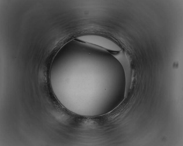 X0000089940547200707131455