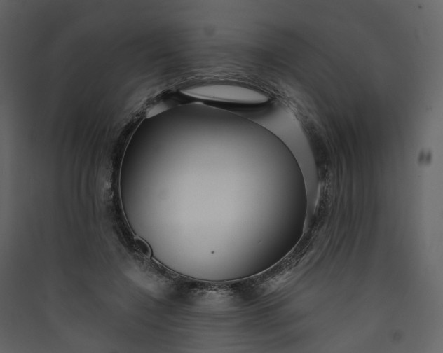 X0000089940548200707131455