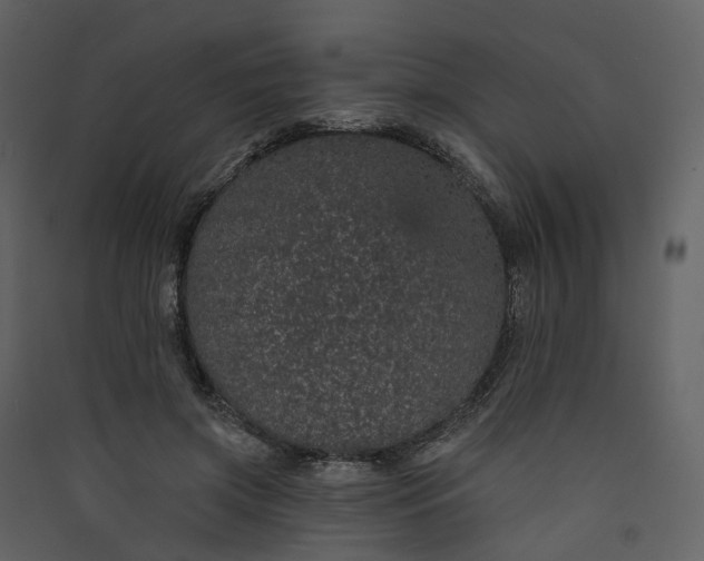 X0000089940549200707131456