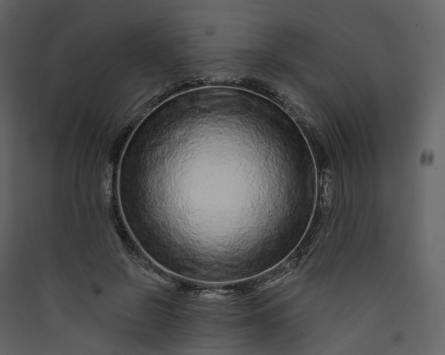 X0000089940550200707131456