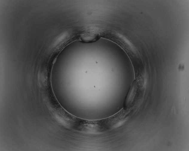 X0000089940552200707131456