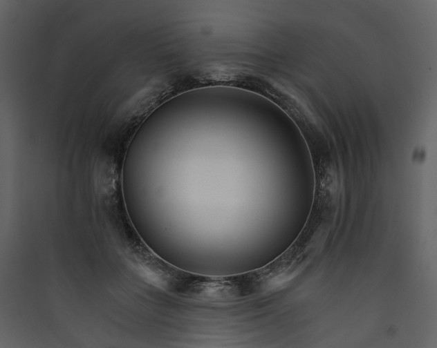 X0000089940555200707131456